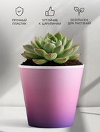 Кашпо «Розовый закат», 0,8 л, 11 х 12 см - фото 809296120
