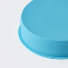 Форма для выпечки Доляна «Круг», силикон, 24×5 см, диаметр дна 21,5 см, цвет МИКС - фото 4276483