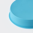 Форма для выпечки Доляна «Круг», силикон, 24×5 см, диаметр дна 21.5 см, МИКС - Фото 3