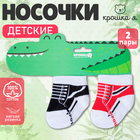 Набор носков Крошка Я "Крокодил", 2 пары, 8-10 см - Фото 7