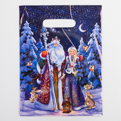 Пакет «Дед мороз», полиэтиленовый с вырубной ручкой, 22,5 х 29,5 см, 30 мкм