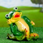 Садовая фигура "Лягушка на кувшинке", 24×24×15 см - Фото 1