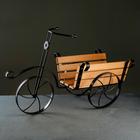 Подставка Велосипед 59-342 с деревом - Фото 1