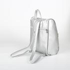 Рюкзак молодёжный, отдел на молнии, наружный карман, цвет серебро - Фото 2