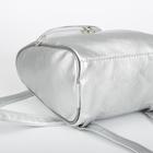 Рюкзак молодёжный, отдел на молнии, наружный карман, цвет серебро - Фото 3