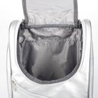 Рюкзак молодёжный, отдел на молнии, наружный карман, цвет серебро - Фото 4