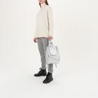 Рюкзак молодёжный, отдел на молнии, наружный карман, цвет серебро - Фото 5