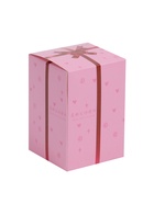 Собака на панель авто, качающая головой, пудель - Фото 5