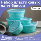 Набор ланч-боксов пластиковых «Горошек», 5 шт: d=22, 19, 16, 13,5, 11,5 см, цвет МИКС - Фото 1