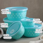 Набор ланч-боксов пластиковых «Горошек», 5 шт: d=22, 19, 16, 13,5, 11,5 см, цвет МИКС - Фото 2