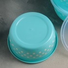 Набор ланч-боксов пластиковых «Горошек», 5 шт: d=22, 19, 16, 13,5, 11,5 см, цвет МИКС - Фото 4