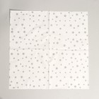 Салфетки бумажные «Звёздочки», 33х33 см, набор 20 шт., цвет серебряный - фото 4607643