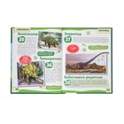 Энциклопедия с развивающими заданиями «Динозавры» - фото 24438101