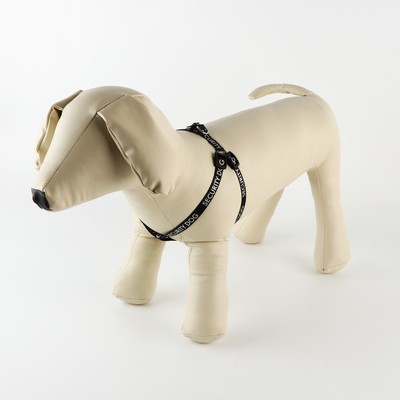 Комплект Security dog, шлейка 26-39 см, поводок 120×1 см