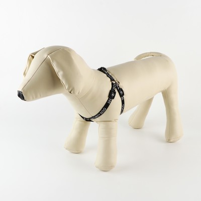 Комплект Security dog, шлейка 26-39 см, поводок 120×1 см