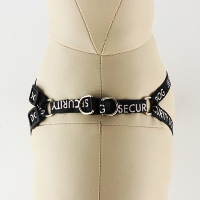 Комплект Security dog, шлейка 26-39 см, поводок 120×1 см