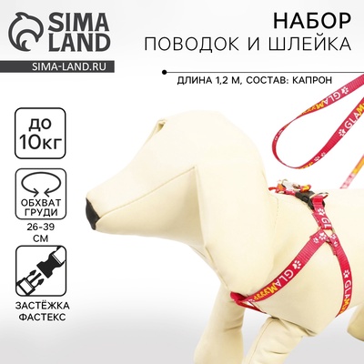 Шлейка GlaМууур, 26-39 см, поводок 120×1 см