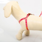 Шлейка GlaМууур, 26-39 см, поводок 120×1 см - Фото 5