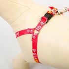 Шлейка GlaМууур, 26-39 см, поводок 120×1 см - Фото 2