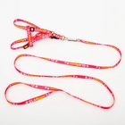 Шлейка GlaМууур, 26-39 см, поводок 120×1 см - Фото 3