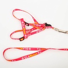 Шлейка GlaМууур, 26-39 см, поводок 120×1 см - Фото 6