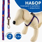 Комплект Super DOG, шлейка 26-39 см, поводок 120х1 см, медальон - фото 318209242