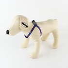 Комплект Super DOG, шлейка 26-39 см, поводок 120х1 см, медальон - Фото 6