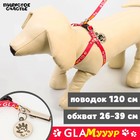 Поводок «Ты и я» 120×1 см, шлейка 26-39 см, медальон - Фото 1