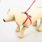 Поводок «Ты и я» 120×1 см, шлейка 26-39 см, медальон - Фото 4