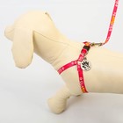 Поводок «Ты и я» 120×1 см, шлейка 26-39 см, медальон - Фото 5