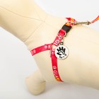 Поводок «Ты и я» 120×1 см, шлейка 26-39 см, медальон - Фото 6