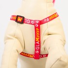 Поводок «Ты и я» 120×1 см, шлейка 26-39 см, медальон - Фото 2