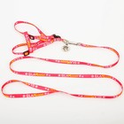 Поводок «Ты и я» 120×1 см, шлейка 26-39 см, медальон - Фото 3