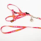 Поводок «Ты и я» 120×1 см, шлейка 26-39 см, медальон - Фото 7