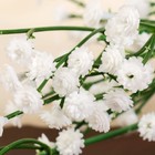 Цветы искусственные "Ветка гипсофилы" 1х53 см, белый - Фото 2