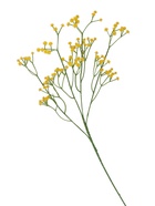 Цветы искусственные «Ветка гипсофилы», 1×53 см, жёлтые  (артикул 4301313)  большой выбор товаров оптом и в розницу по низким ценам с доставкой
