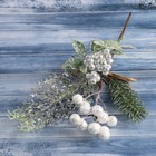 Декор "Зимняя магия" хвоя листья белые ягоды, 24 см - фото 2886008