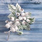 Декор "Зимняя магия" белые ягоды листья иней, 20 см - Фото 2