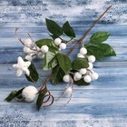 Декор "Зимняя магия" белые ягоды листья, 35 см - фото 318209538