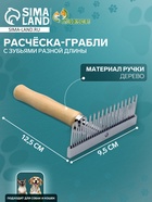 Расчёска-грабли для шерсти Wood, 12.5×9.5 см, с зубьями разной длины, деревянная ручка - Фото 1