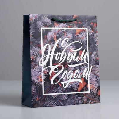 Пакет подарочный новогодний ламинированный «Новогодняя пора», ML 23×27×8 см
