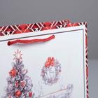 Пакет ламинированный вертикальный «Новогодний уют», ML 23 x 27 × 8 см - Фото 3