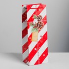 Набор пакетов крафт под бутылку «Поздравляю с Новым годом!», 13 × 36 × 10 см. 6 шт. - Фото 3