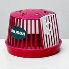 Переноска мини пластиковая для мелких грызунов (без наполнения), 16 х 16 х 12 см, микс - Фото 1