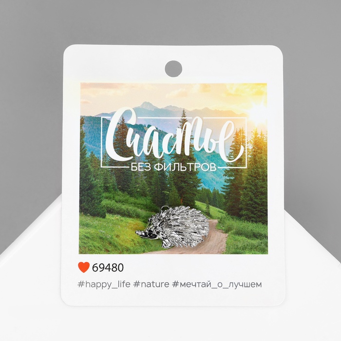 Брошь «Ёжик» счастье, цвет серебра - Фото 1