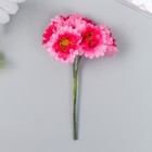 Цветы для декорирования "Хризантемы ярко-розовые" 1 букет=6 цветов 10 см - Фото 1