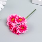 Цветы для декорирования "Хризантемы ярко-розовые" 1 букет=6 цветов 10 см - Фото 2