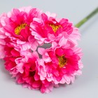 Цветы для декорирования "Хризантемы ярко-розовые" 1 букет=6 цветов 10 см - Фото 3