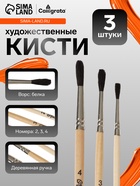Набор кистей для рисования, белка, 3 штуки: №: 2, 3, 4, Calligrata, круглые, деревянная ручка, в пакете - Фото 1