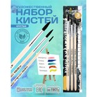 Набор кистей для рисования, белка, 3 штуки: №: 2, 3, 4, Calligrata, круглые, деревянная ручка, в пакете - Фото 1